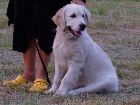 Lola